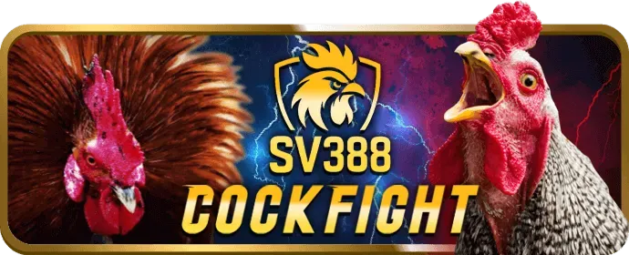 Cấp độ VIP Đồng sodo88